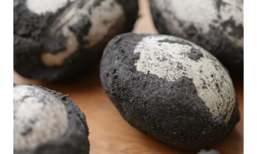 DİNOZOR YUMURTALARI