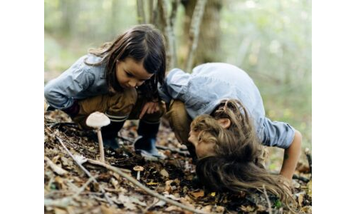Doğadaki Dostlarımız İçin Ev Yapıyoruz