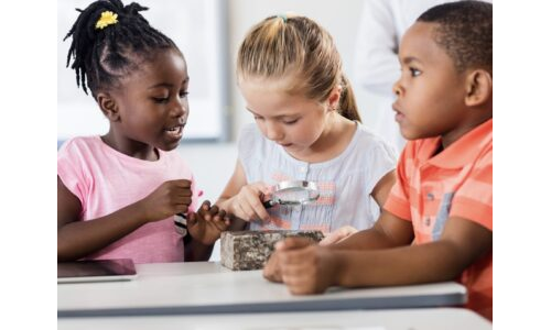 Kış Mevsiminde Hayvanlar: Kış Uykusu Çember Oyunu