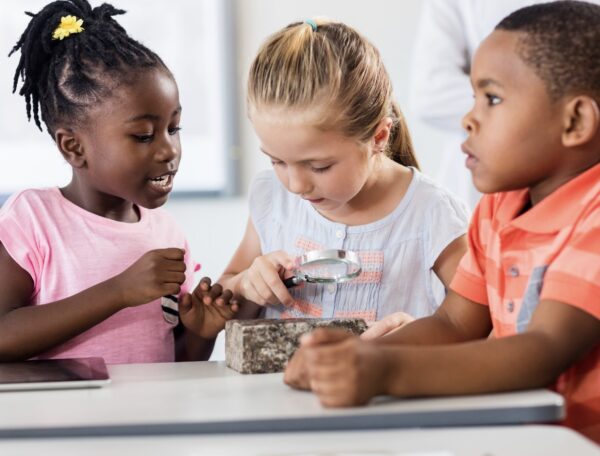 Kış Mevsiminde Hayvanlar: Kış Uykusu Çember Oyunu