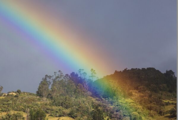 Bardakta Gökkuşağı