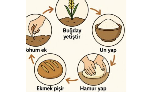 Ekmek Serüveni – Tohumdan Sofraya