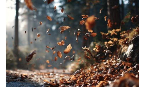 Rüzgârla Dans Eden Sonbahar Yaprağı