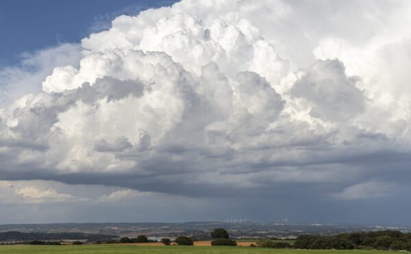 Yumuşak Yağmur Bulutu