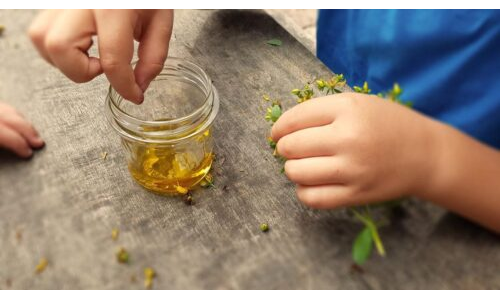 Kantaron Yağı Yapıyoruz