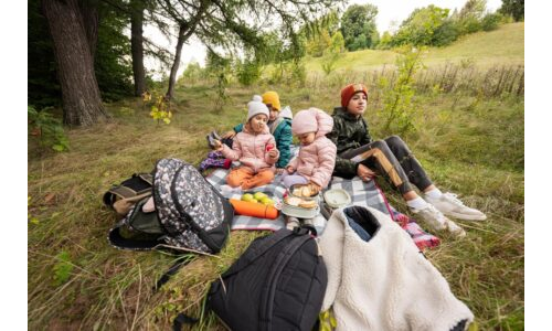 Orman Projesi Nasıl Planlanır?