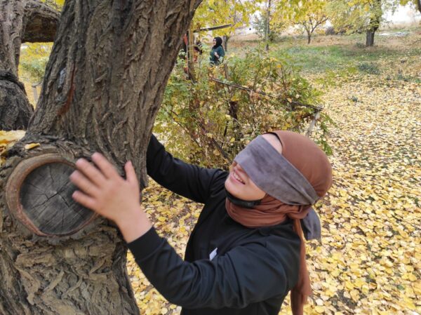 Gözü Kapalı Ağacını Bul!