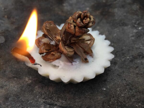 Çam kozalağından çakmak yapımı