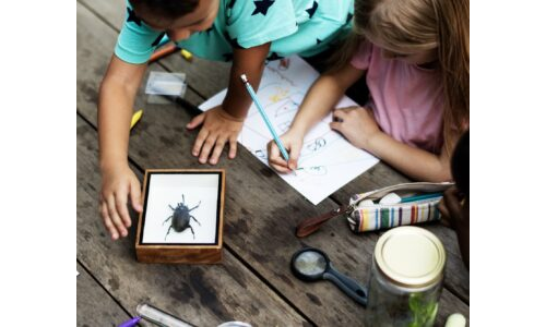 Ormanda Böcek Tahmin Oyunu