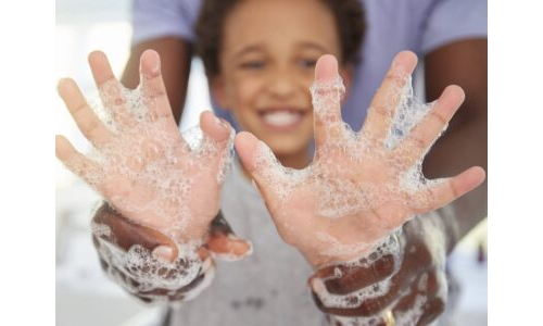 Temiz Eller, Sağlıklı Yemekler