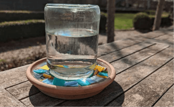 Böcekler İçin Su Kabı Yapımı