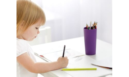 Çizgi Çalışması