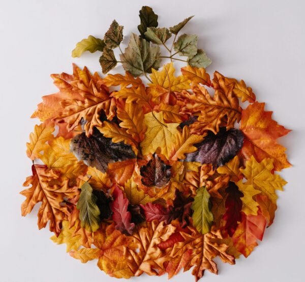 Yapraklarla Renkli Toplar