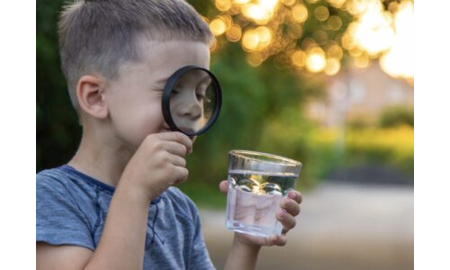 Su Büyüteci ile Doğayı Keşfediyorum