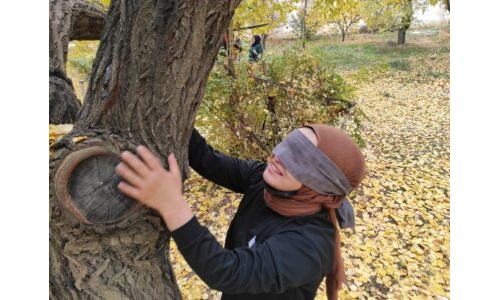 Gözü Kapalı Ağacını Bul!