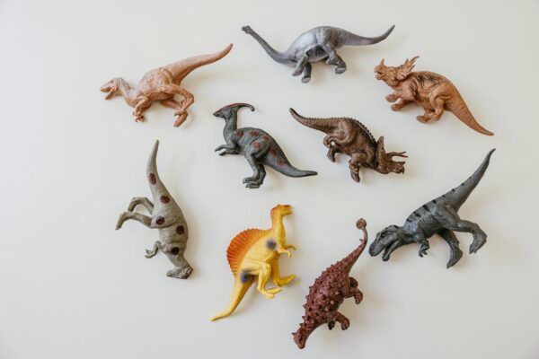 Mandal Dino