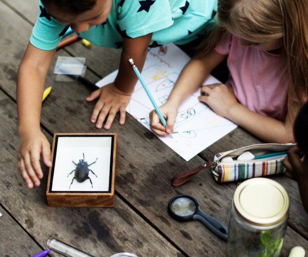 Ormanda Böcek Tahmin Oyunu