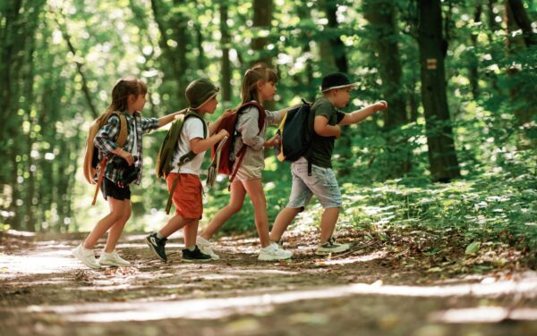 Meşe Palamuduyla Duyusal Oyun