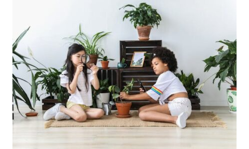 Hazine Avına Çıkıyoruz