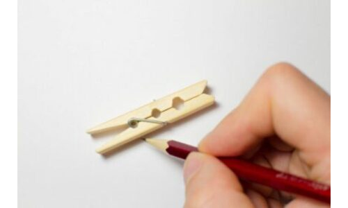 Mandal Sincaplar Ağacında