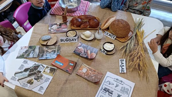 Bir Buğday Tanesinin Ekmeğe Yolculuğu Hikayesi