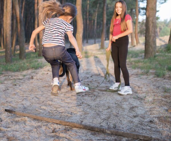 Sopanın Üzerinden Geçme