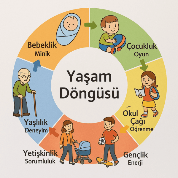 İnsanın Hayat Yolculuğu