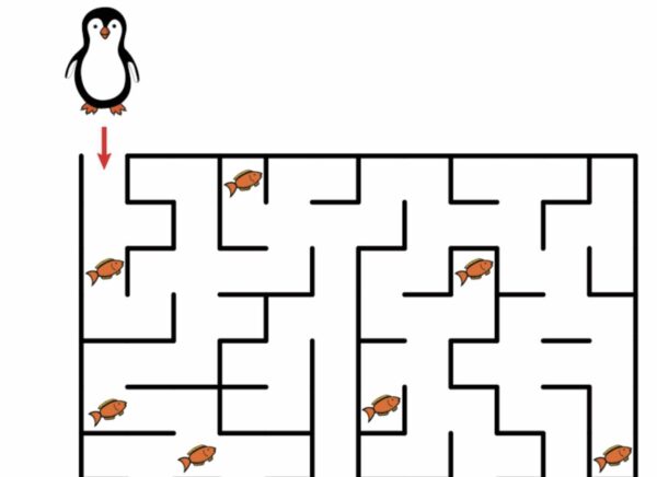 Penguen Labirent Karmaşık