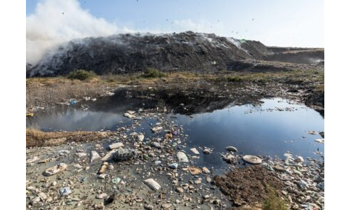 Çevre Dostu Okul, Çevre Dostu Çocuklar ve Sürdürülebilirlik Projesi