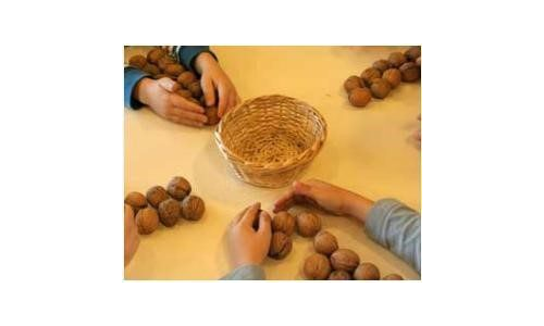 Cevizlerle Beceri Oyunu